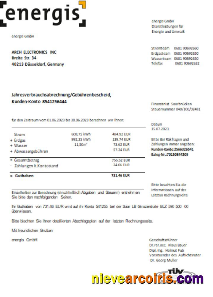 Germany Energis utility business bill